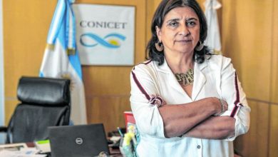 Photo of Ana María Franchi, presidenta del CONICET: «Vamos a cuadruplicar la inversión en ciencia y tecnología»