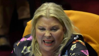 Photo of «Envenenamiento», otra ridícula denuncia de Carrió contra el Gobierno