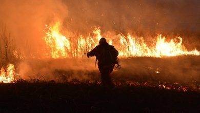 Photo of Los incendios forestales continúan en Misiones, Corrientes y Río Negro