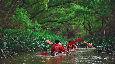 Photo of Tigre brinda recomendaciones para navegar y disfrutar del Delta de forma segura