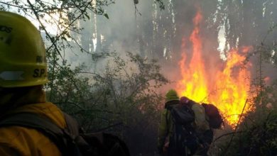 Photo of Continúan los incendios en Río Negro y Neuquén