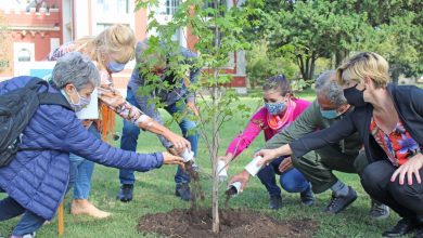 Photo of Casares: Semana del 24 «Plantamos memoria»