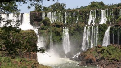 Photo of “El futuro será verde”: crearán nuevos parques nacionales en seis provincias