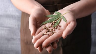 Photo of Autorizan la inscripción de variedades de cannabis para uso medicinal