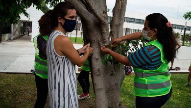 Photo of Hurlingham: Inicia el censo de arbolado público urbano del distrito