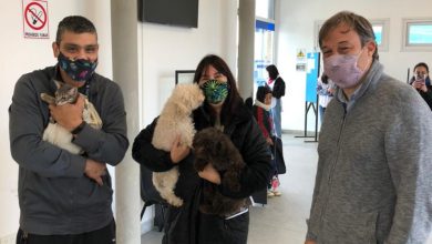 Photo of Alte. Brown: Más de 4 mil animales recibieron la vacuna antirrábica en dos mega-operativos de Zoonosis