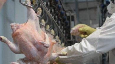 Photo of Argentina vuelve a exportar carne a Europa