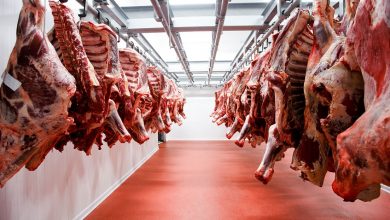 Photo of Exportación de carne: cuáles son las condiciones del Gobierno para quitar las restricciones