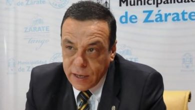 Photo of Zarate: Cultivo de frutillas.  El Municipio apoya una iniciativa empresarial  que trabaja con una novedosa técnica de cultivo