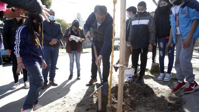 Photo of Almirante Brown: «Celebramos El Día del Árbol con el plan de forestación más grande en nuestro distrito»