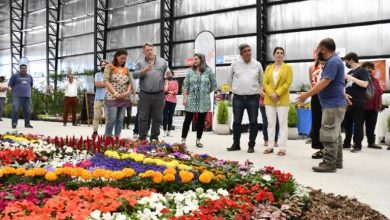 Photo of Moreno: Mariel Fernandez inauguró la Expo del Plantin Floral 2021