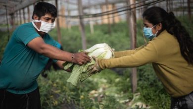 Photo of La audaz propuesta para sumar pymes y bajar el precio de los alimentos