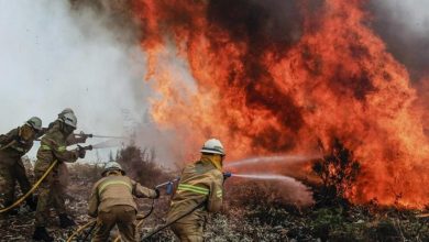 Photo of Incendios forestales: Argentina, en “emergencia ígnea” por un año