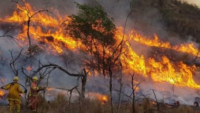 Photo of Incendios forestales: 5 provincias continúan con focos activos