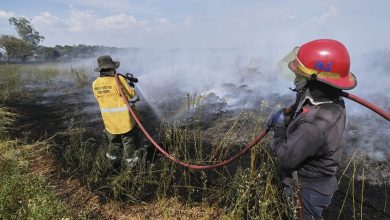 Photo of Incendios forestales: brigadistas de Ambiente combaten el fuego en Corrientes y Río Negro