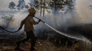 Photo of Incendios en Corrientes: cinco focos permanecen activos