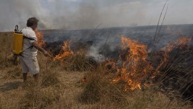 Photo of Incendios: hay 14 focos activos en Corrientes y Misiones