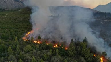 Photo of Incendios forestales: alerta por “alta concentración de humo” en varias provincias