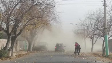 Photo of Tormentas, nevadas y viento Zonda: alerta amarilla en nueve provincias