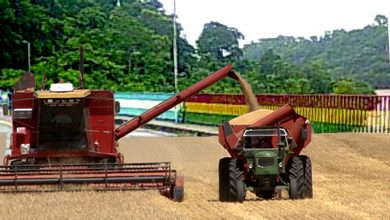 Photo of Recibía $250 mil por semana por colaborar con el contrabando de granos
