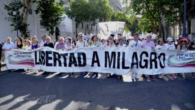 Photo of Diputados del Frente de Todos piden el indulto para Milagro Sala