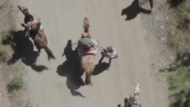 Photo of Cobarde ataque a la fotoperiodista Alejandra Bartoliche en Lago Escondido