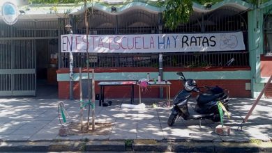 Photo of Teléfono para Macri: hay ratas en plena escuela de CABA