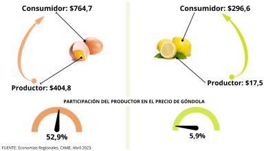 Photo of Del campo a la góndola, los precios de los agroalimentos se multiplicaron por 3,9 veces en abril