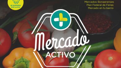 Photo of Mercado Activo: producción local a precios accesibles