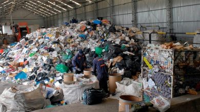 Photo of “Nos organizamos para industrializar y no solamente para comercializar“ Cooperativas de Reciclaje