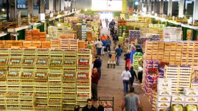 Photo of RETRAEN PRECIOS EN VERDURAS Y FRUTAS DESDE EL MERCADO CENTRAL