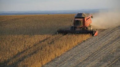 Photo of Una agroexportadora debe pagar $3.000 millones a la AFIP por subfacturación