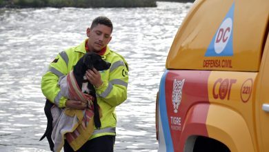 Photo of Defensa Civil, un servicio que interviene en distintas urgencias en el municipio de Tigre