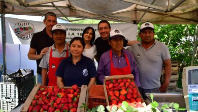 Photo of Diez mil personas disfrutaron la Fiesta de la Frutilla en Florencio Varela