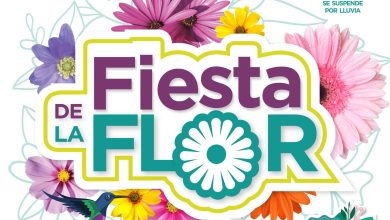 Photo of Fiesta de la Flor, un impulso a la producción local