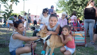 Photo of Invitan a visitar el parque municipal de la familia y los animales