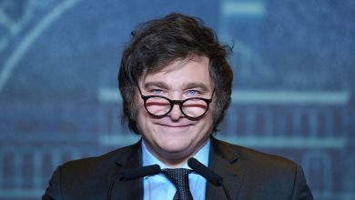 Photo of Milei se autoincriminó: “Les estamos afanando los choreos”