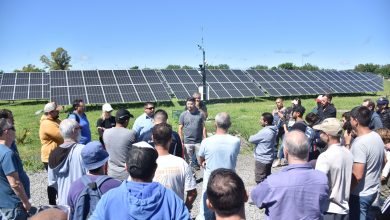 Photo of El Parque Solar Municipal capta la atención de la comunidad educativa