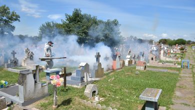 Photo of Florencio Varela: Fumigación en el cementerio municipal