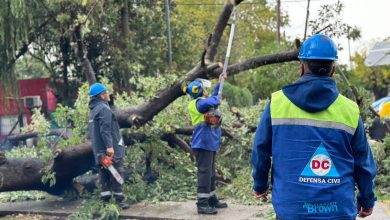 Photo of Los equipos del municipio de Almirante Brown trabajan en la calle mitigando los efectos e la tormenta