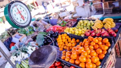 Photo of Vuelve la feria de productores rurales a la granja con propuestas gastronómicas y actividades para toda la familia