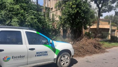 Photo of La Municipalidad de Escobar labró 10 multas en una semana por no respetar el cronograma de recolección de ramas