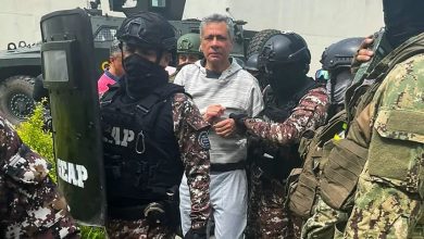 Photo of «CONDENAMOS LA VIOLACIÓN DE SOBERANÍA DEL GOBIERNO DE ECUADOR A LA EMBAJADA MEXICANA»