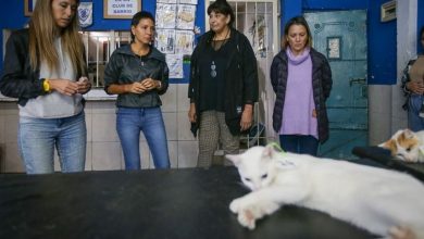 Photo of Mayra participó de un nuevo megaoperativo de castración y vacunación de animales en Quilmes oeste