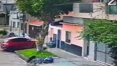 Photo of Dueño de un bar de Sarandí le disparó a un perro desde su balcón