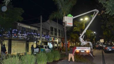 Photo of Avanza el operativo de poda en altura en la vía pública del partido de Escobar