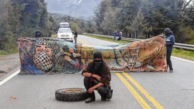 Photo of La Justicia suspendió la entrega de tierras a mapuches en una reserva nacional