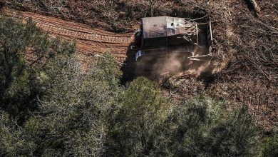 Photo of Medida judicial contra los desmontes en el Chaco