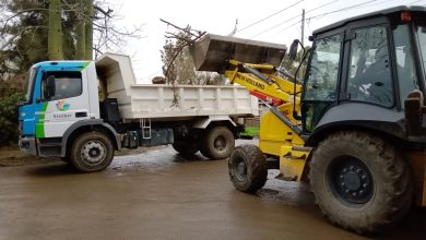 Photo of Cronograma del sistema municipal de recolección de ramas para esta semana