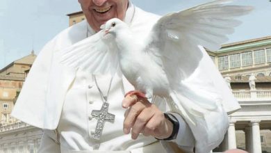 Photo of Papa Francisco: “En vez de pagar justicia social, el Gobierno pagó el gas pimienta”